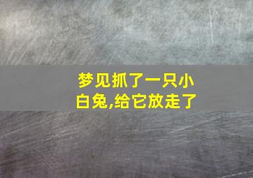 梦见抓了一只小白兔,给它放走了