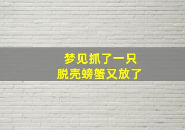 梦见抓了一只脱壳螃蟹又放了