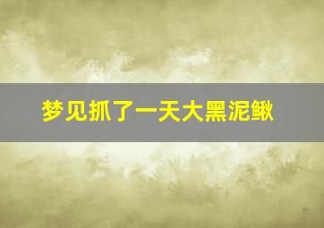 梦见抓了一天大黑泥鳅