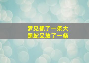 梦见抓了一条大黑蛇又放了一条