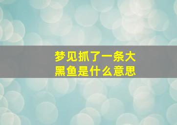 梦见抓了一条大黑鱼是什么意思