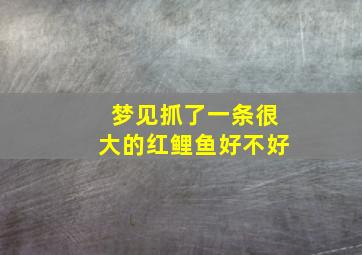 梦见抓了一条很大的红鲤鱼好不好