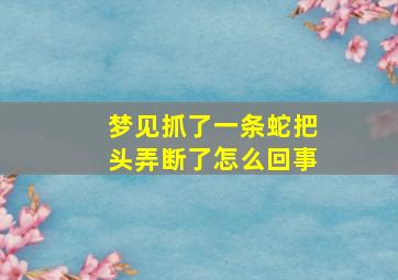 梦见抓了一条蛇把头弄断了怎么回事