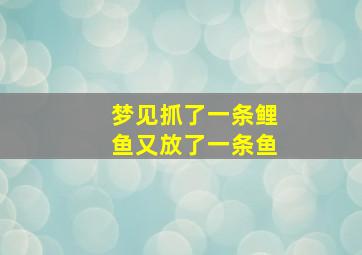 梦见抓了一条鲤鱼又放了一条鱼