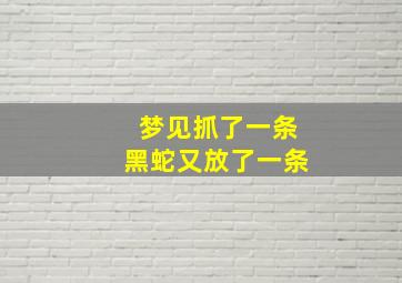 梦见抓了一条黑蛇又放了一条