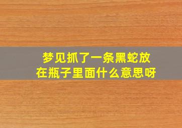 梦见抓了一条黑蛇放在瓶子里面什么意思呀