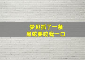 梦见抓了一条黑蛇要咬我一口