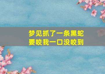 梦见抓了一条黑蛇要咬我一口没咬到