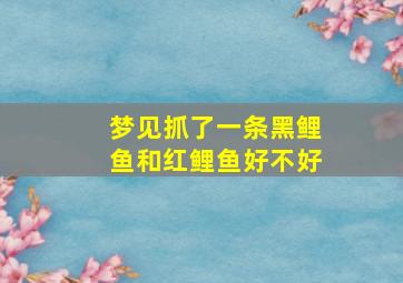 梦见抓了一条黑鲤鱼和红鲤鱼好不好