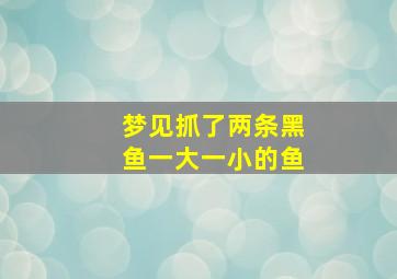 梦见抓了两条黑鱼一大一小的鱼