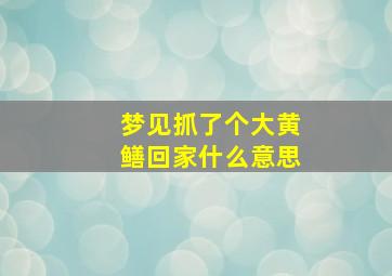 梦见抓了个大黄鳝回家什么意思