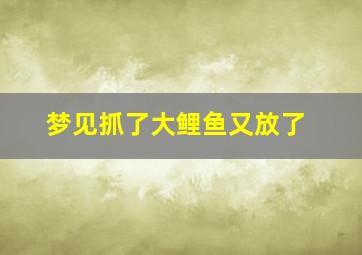 梦见抓了大鲤鱼又放了