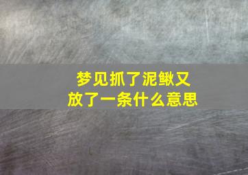 梦见抓了泥鳅又放了一条什么意思