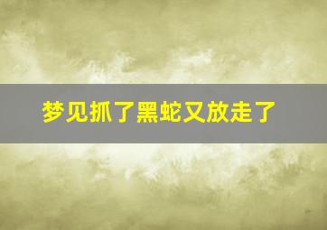 梦见抓了黑蛇又放走了