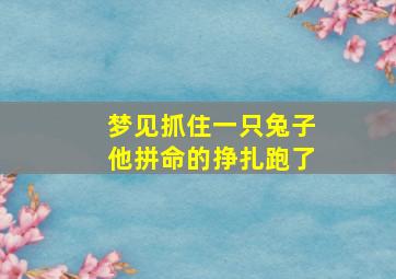 梦见抓住一只兔子他拼命的挣扎跑了