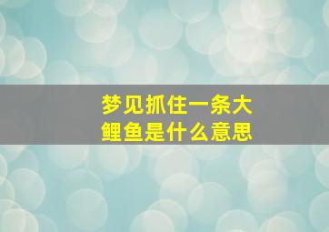 梦见抓住一条大鲤鱼是什么意思