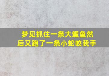 梦见抓住一条大鲤鱼然后又跑了一条小蛇咬我手