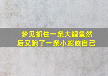 梦见抓住一条大鲤鱼然后又跑了一条小蛇咬自己