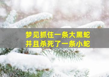 梦见抓住一条大黑蛇并且杀死了一条小蛇