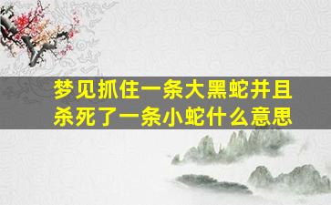 梦见抓住一条大黑蛇并且杀死了一条小蛇什么意思