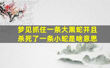 梦见抓住一条大黑蛇并且杀死了一条小蛇是啥意思