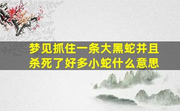 梦见抓住一条大黑蛇并且杀死了好多小蛇什么意思