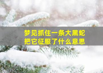 梦见抓住一条大黑蛇把它征服了什么意思