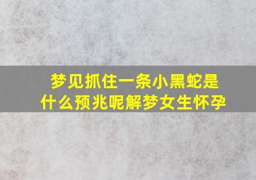 梦见抓住一条小黑蛇是什么预兆呢解梦女生怀孕