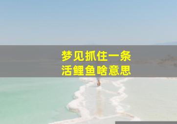 梦见抓住一条活鲤鱼啥意思