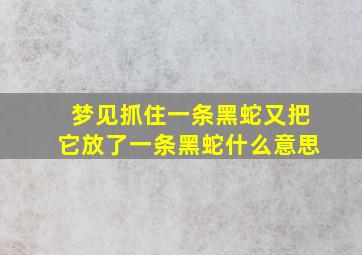 梦见抓住一条黑蛇又把它放了一条黑蛇什么意思