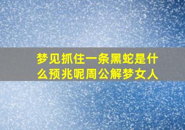 梦见抓住一条黑蛇是什么预兆呢周公解梦女人