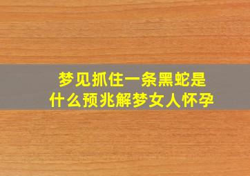 梦见抓住一条黑蛇是什么预兆解梦女人怀孕