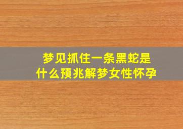 梦见抓住一条黑蛇是什么预兆解梦女性怀孕