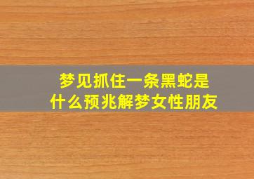 梦见抓住一条黑蛇是什么预兆解梦女性朋友