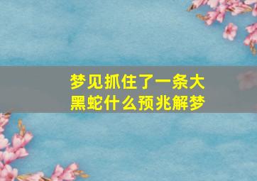 梦见抓住了一条大黑蛇什么预兆解梦