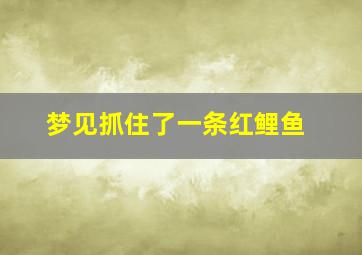 梦见抓住了一条红鲤鱼