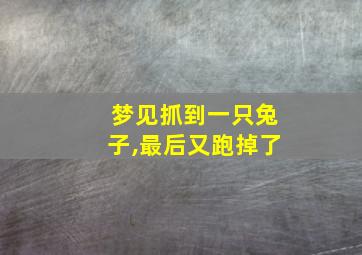 梦见抓到一只兔子,最后又跑掉了