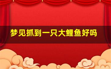 梦见抓到一只大鲤鱼好吗