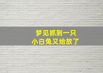 梦见抓到一只小白兔又给放了