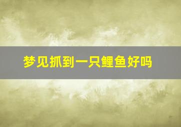 梦见抓到一只鲤鱼好吗