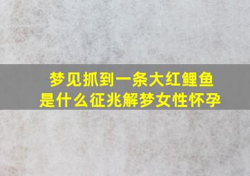 梦见抓到一条大红鲤鱼是什么征兆解梦女性怀孕