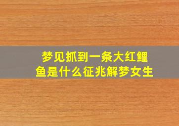 梦见抓到一条大红鲤鱼是什么征兆解梦女生