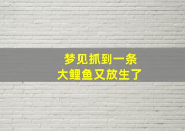 梦见抓到一条大鲤鱼又放生了