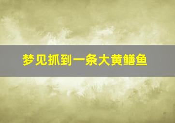 梦见抓到一条大黄鳝鱼