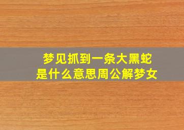 梦见抓到一条大黑蛇是什么意思周公解梦女