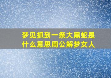 梦见抓到一条大黑蛇是什么意思周公解梦女人