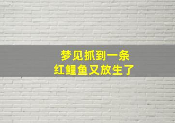 梦见抓到一条红鲤鱼又放生了