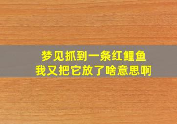 梦见抓到一条红鲤鱼我又把它放了啥意思啊