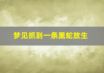 梦见抓到一条黑蛇放生