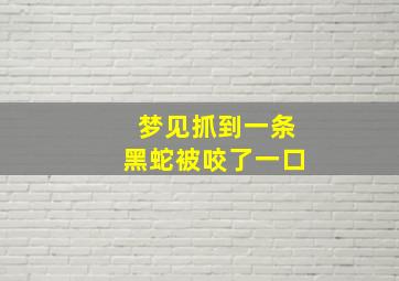 梦见抓到一条黑蛇被咬了一口